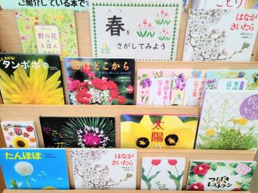 令和7年4月のテーマ展示（子ども向け）の写真　1枚目