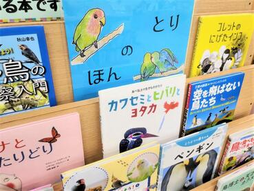 令和7年5月のテーマ展示（子ども向け）の写真　2枚目