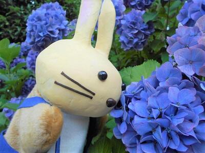 あじさいうさぽん3