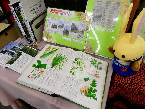 2024年６月ミニ展示「上永谷の巨大植物」