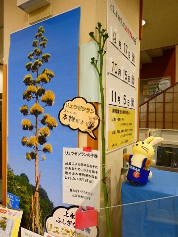 子株展示全体
