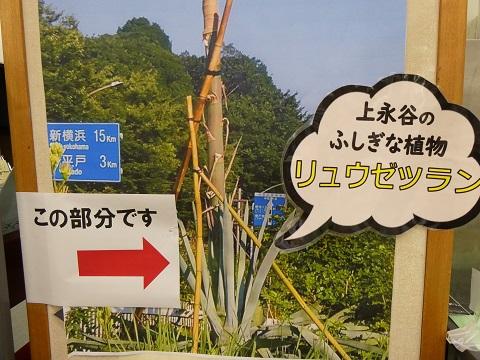 根元の部分