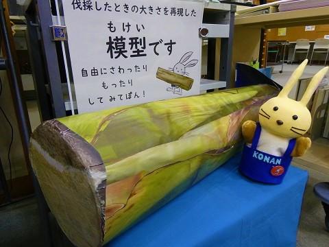 リュウゼツラン花茎の模型完成