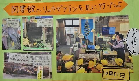 調べ学習をまとめたポスター