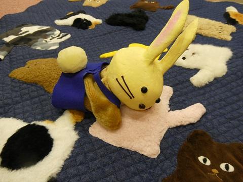 猫マットであそぶうさぽん
