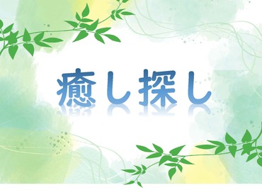 ５月展示「癒し探し」