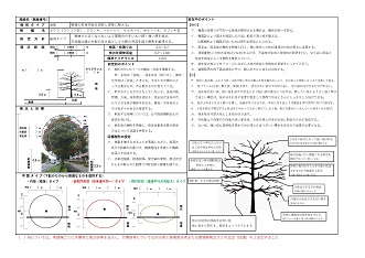 目標図球形