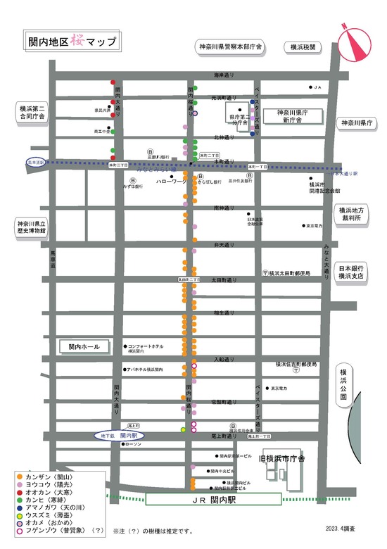 関内地区桜マップ
