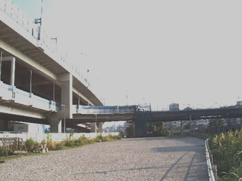ＪＲ根岸線交差部