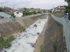 河川の白濁の様子