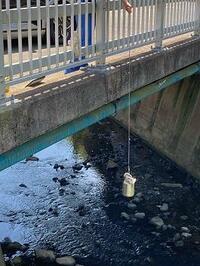 河川の調査