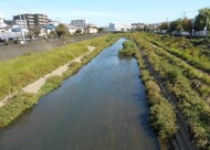 吉倉橋
