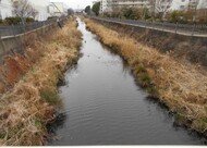 いたち橋