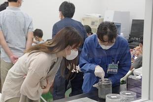 マイクロプラスチック調査体験の写真