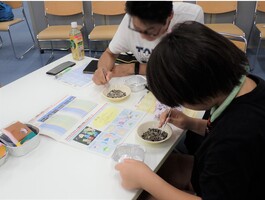調査体験の様子の写真