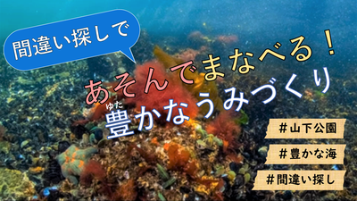 あそんでまなべる豊かなうみづくりの画像