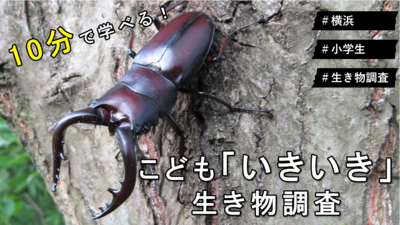 こども「いきいき」生き物調査10分説明