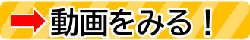 動画をみる