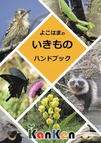 よこはまのいきものハンドブックの図