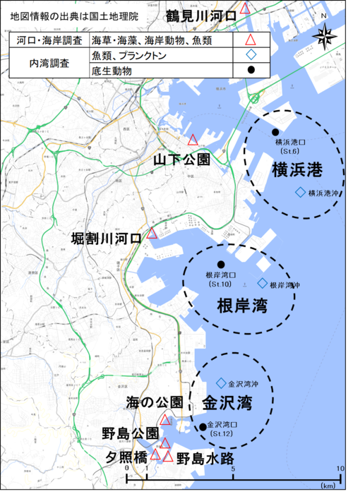 調査地点の地図
