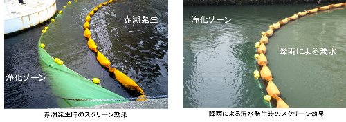 赤潮発生時のスクリーン効果の写真