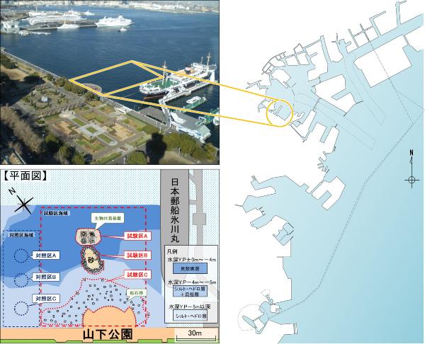 調査は山下公園前海域で行いました