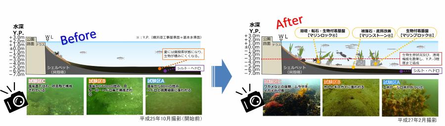 海中の状況変化について