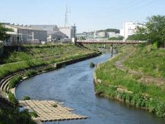 河川の写真