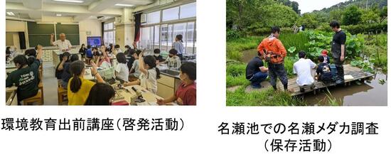 横浜メダカの会の活動の様子