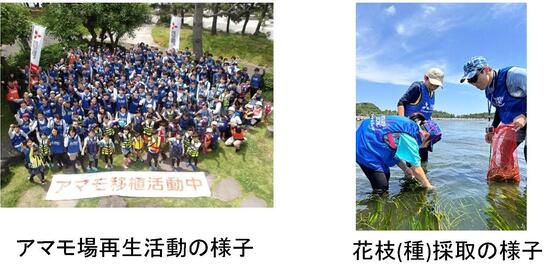 三菱電機株式会社　神奈川支社の活動の様子