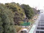 水車のある保全林風景