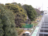 水車のある保全林風景