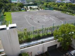 水処理施設の上部利用の写真