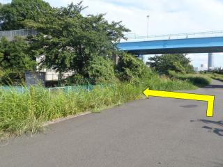 新羽駅経路写真3