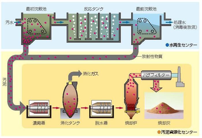 下水に含まれる放射性物質の流れの図