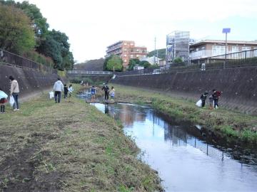 アクアかるがも隊（戸塚区）の活動の様子