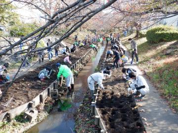 都田江川水辺愛護会（都筑区）の活動の様子