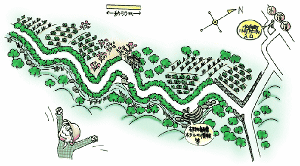 イラスト