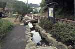 田園