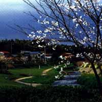 和泉川の光景