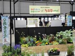 正面