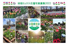 球根ミックス花壇写真募集2022