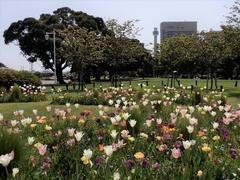 ４月11日開花状況