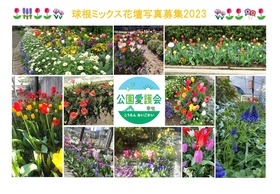 球根ミックス花壇写真募集2023
