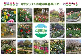 球根ミックス花壇写真募集2025