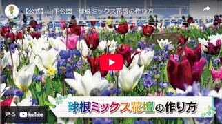 球根ミックス花壇の作り方動画