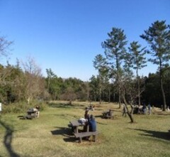 ピクニック広場の風景