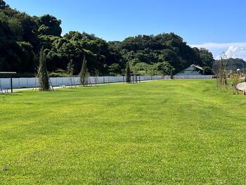 草地広場全景