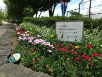 新横浜駅前公園の花壇の写真