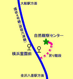 バス停から自然観察センターまでの案内図
